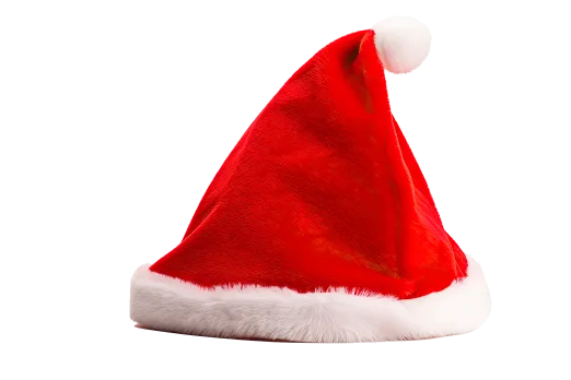 Classic Plush Santa Hat
