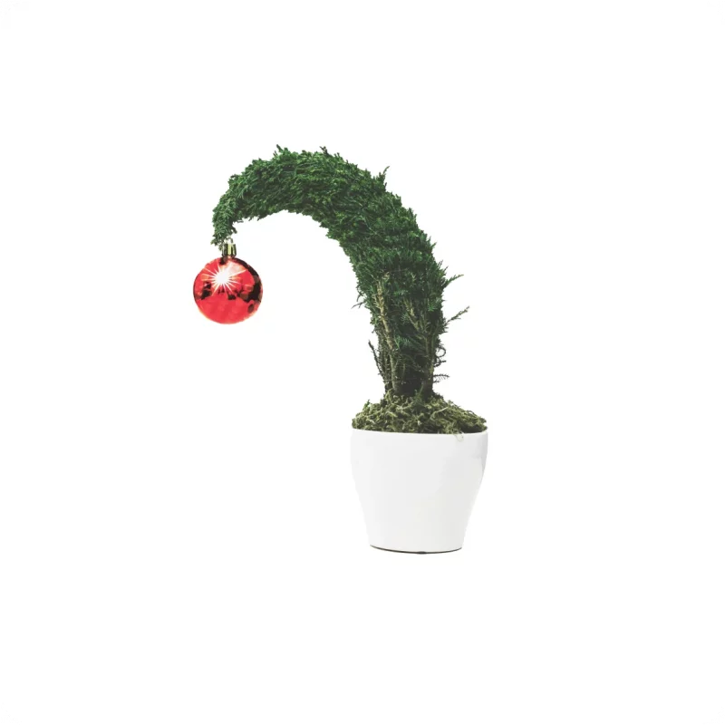 Biscuit in form of Christmas toy