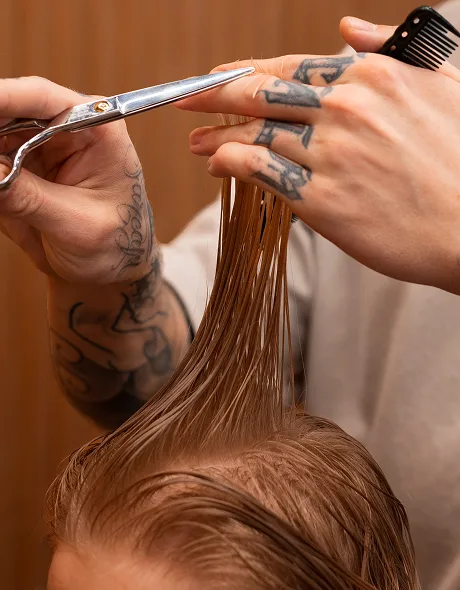 Extensions Wigs