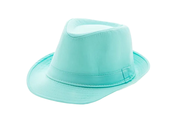 Stylish hat