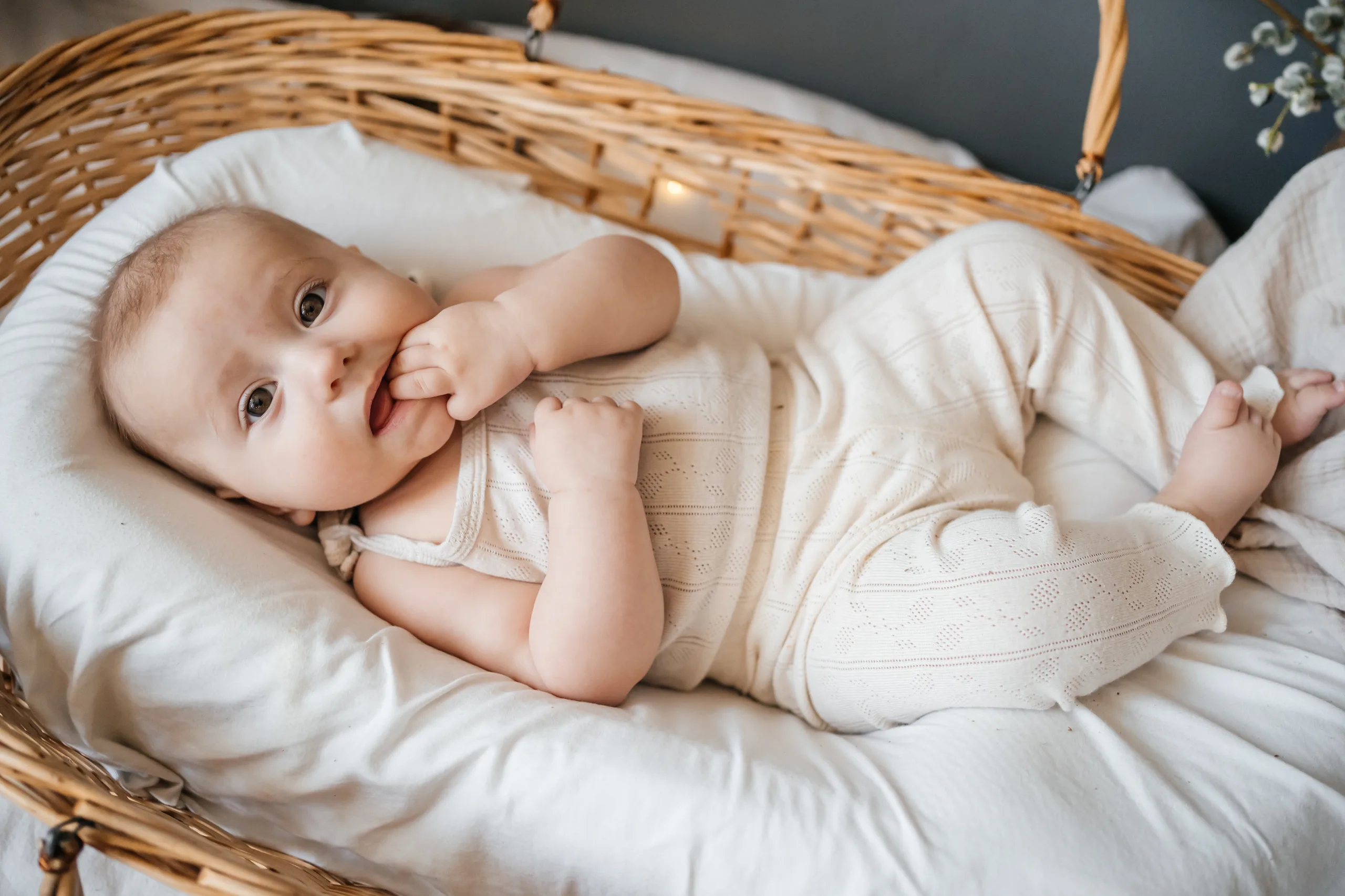 The Complete Guide Every New Parent Needs: 20 Essential Tips and Must-Have Items for Surviving Your Baby’s First Three Months