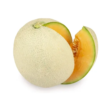 Cantaloupe Melon