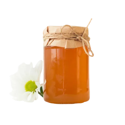 Wildflower Honey 500g
