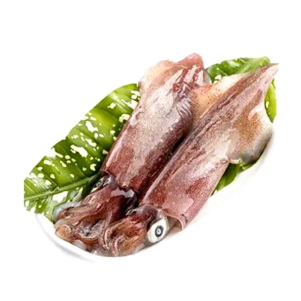 Whole Squid 500g