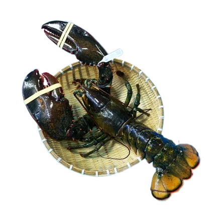 Whole Lobster, Frozen