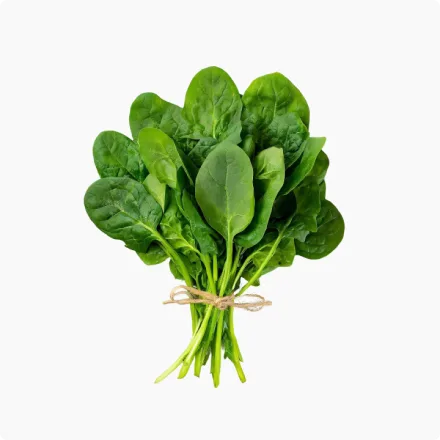 Baby Spinach Bunch