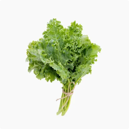 Curly Kale Bunch