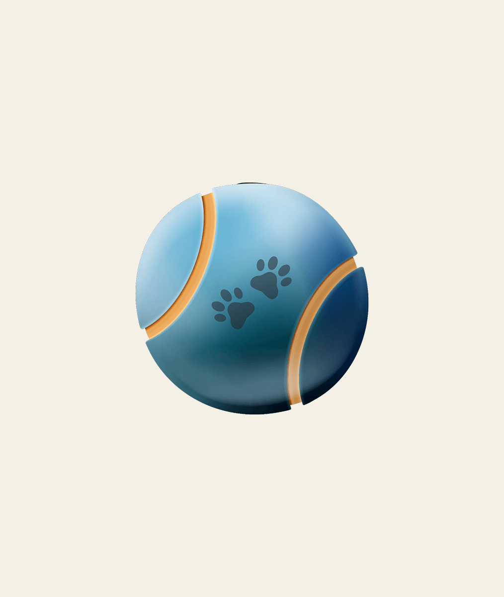 Interactive Rubber Dog Ball with - Image 1