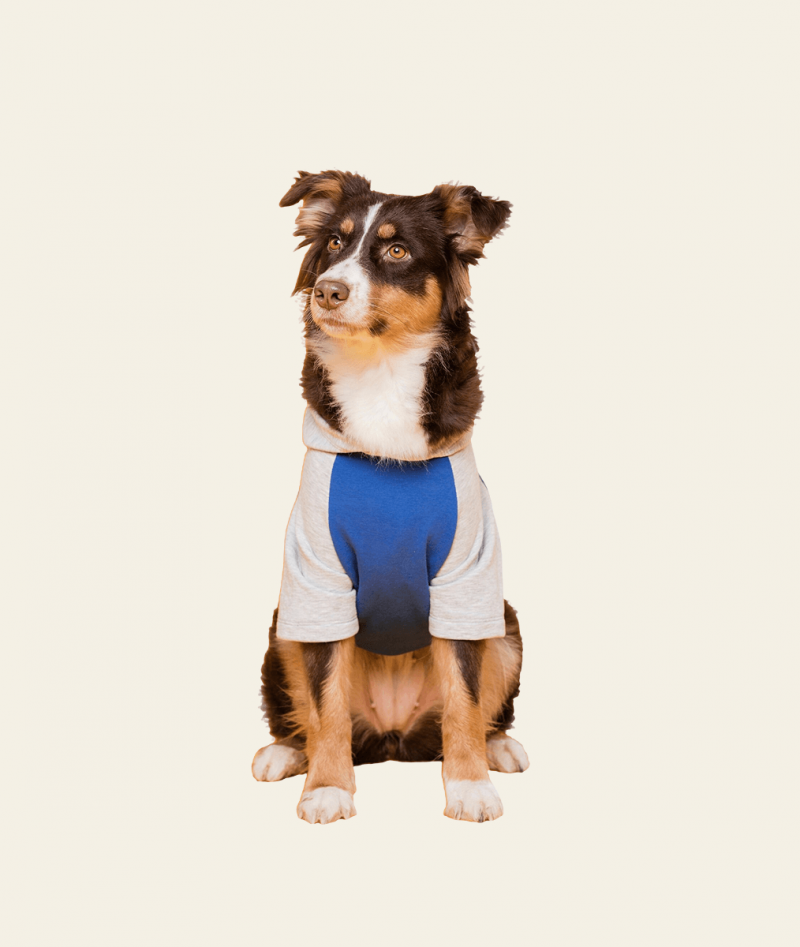 Pet Dog Shirt