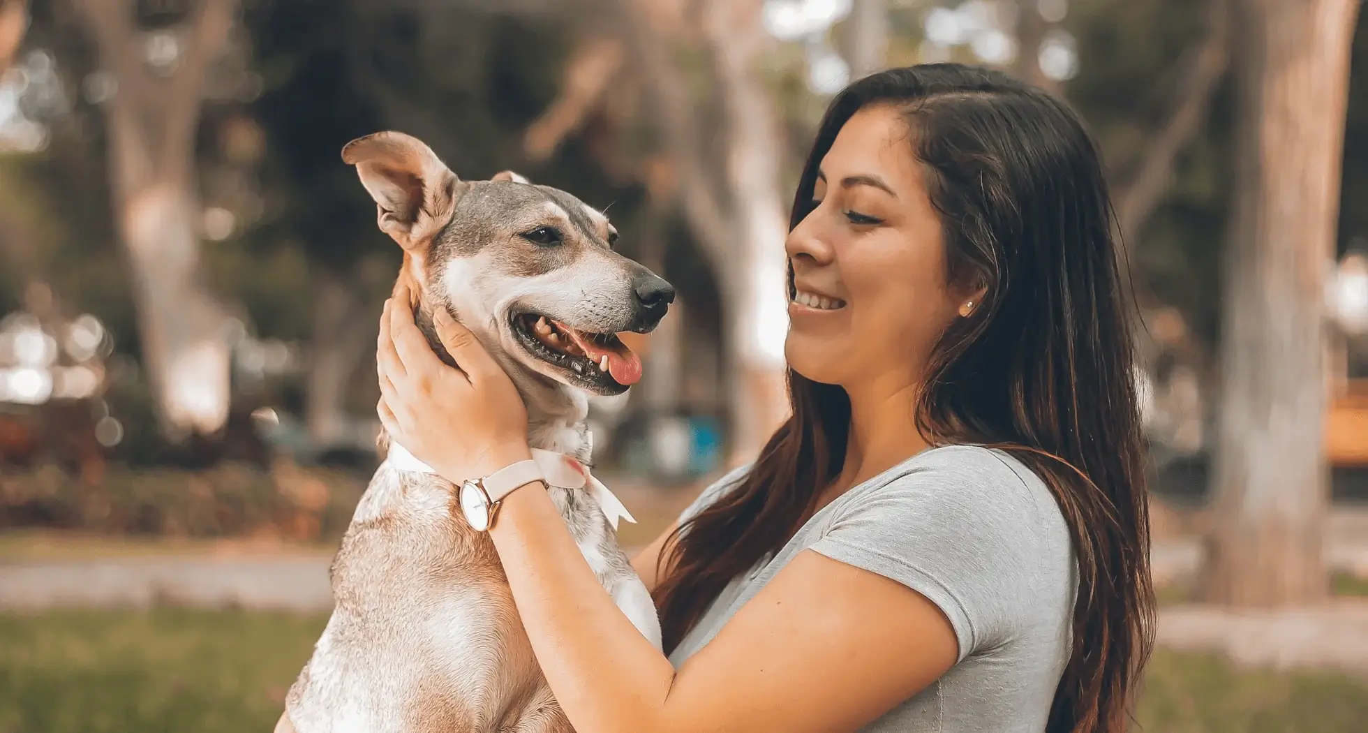 Fun Pet Toys for Active Playtime