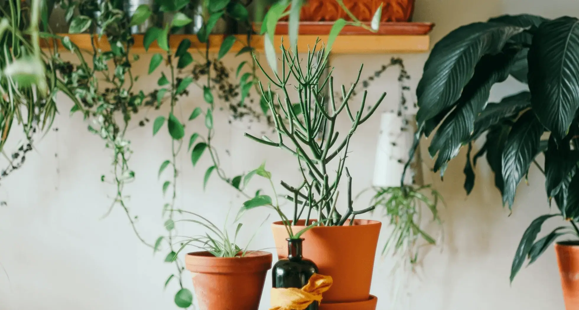 How to Create a Simple Life Plan