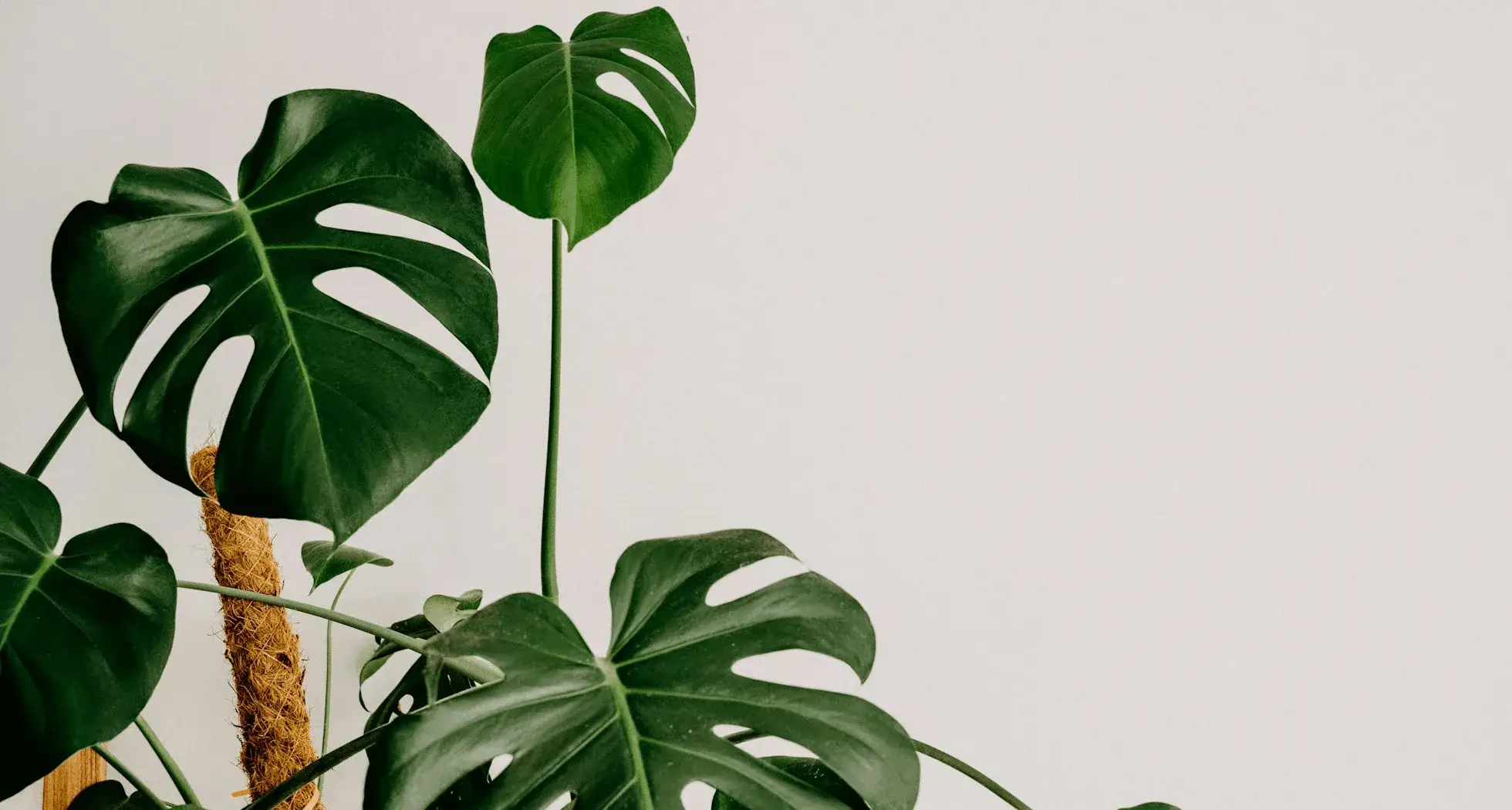 Daily Planning Tips for Better Productivity