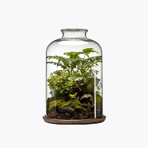 Terrarium