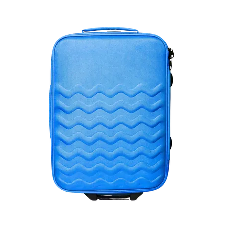 Luggage